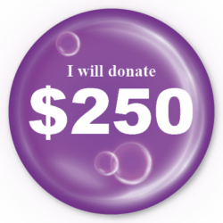 I will donate $250