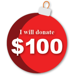 I will donate $100