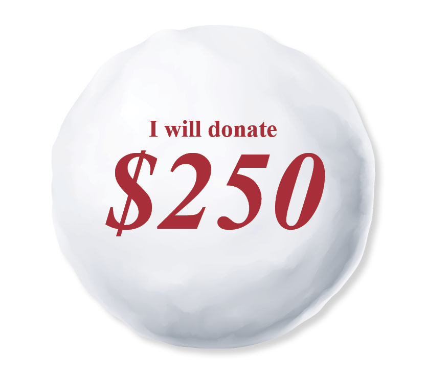 I will donate $250