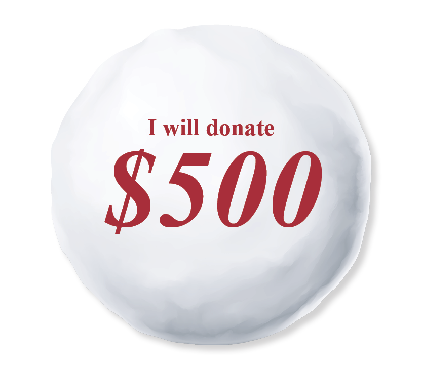 I will donate $500